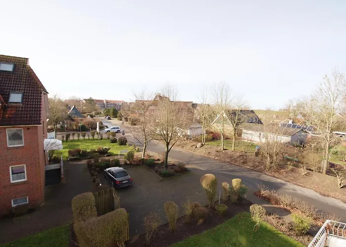 Deichlaeufer * Дорум-Нойфельд